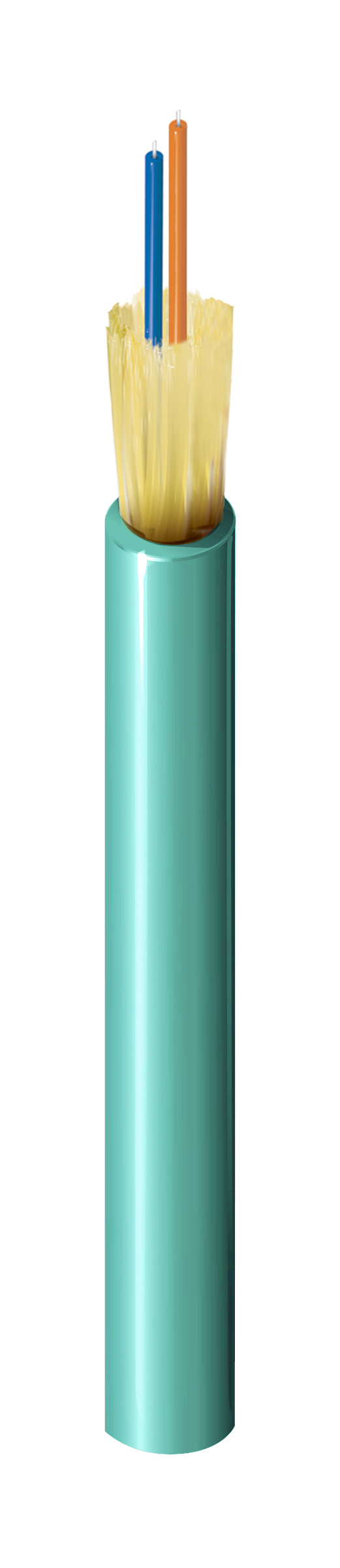 NTBL54AA002AQAA