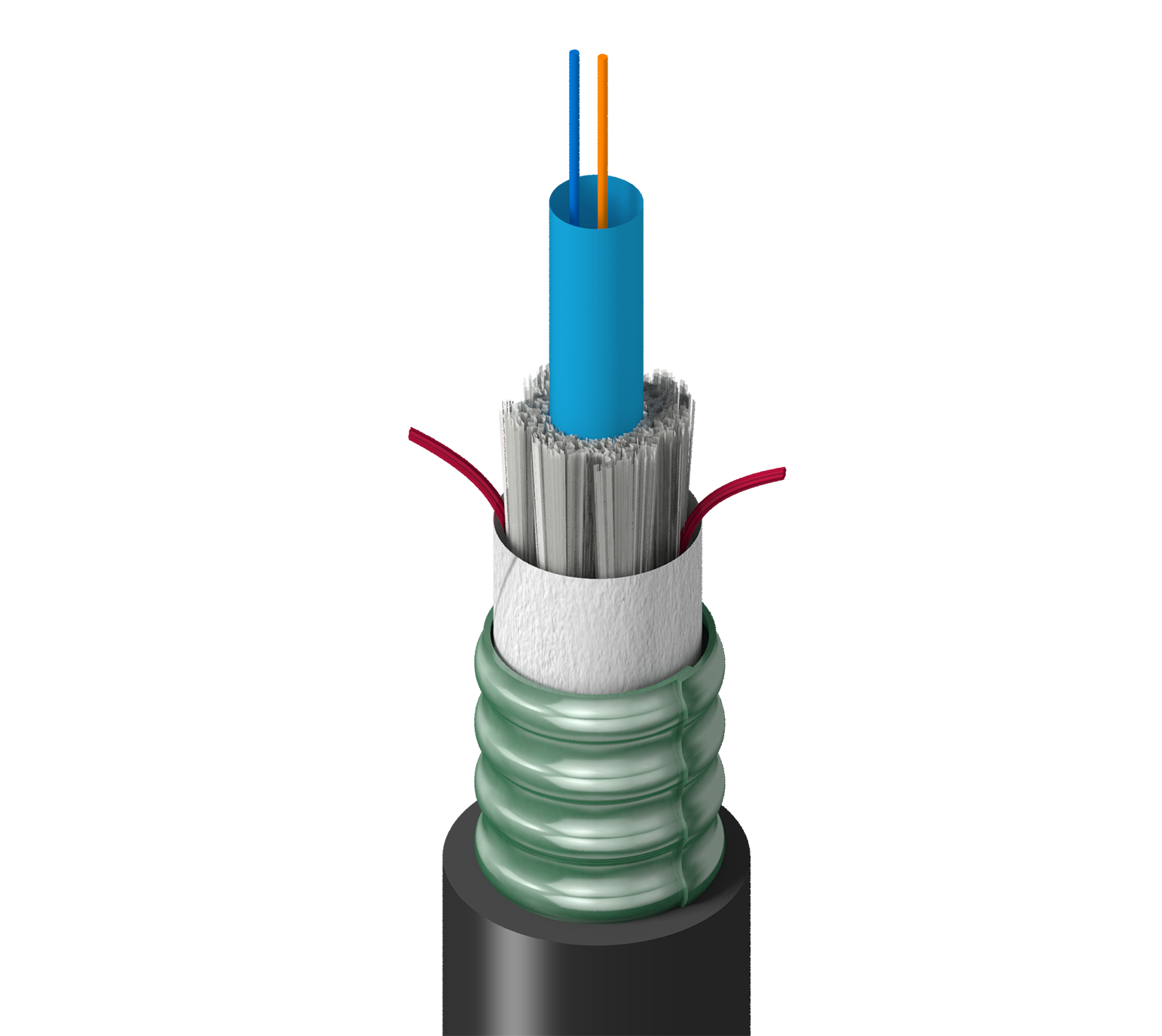 FS1C00260