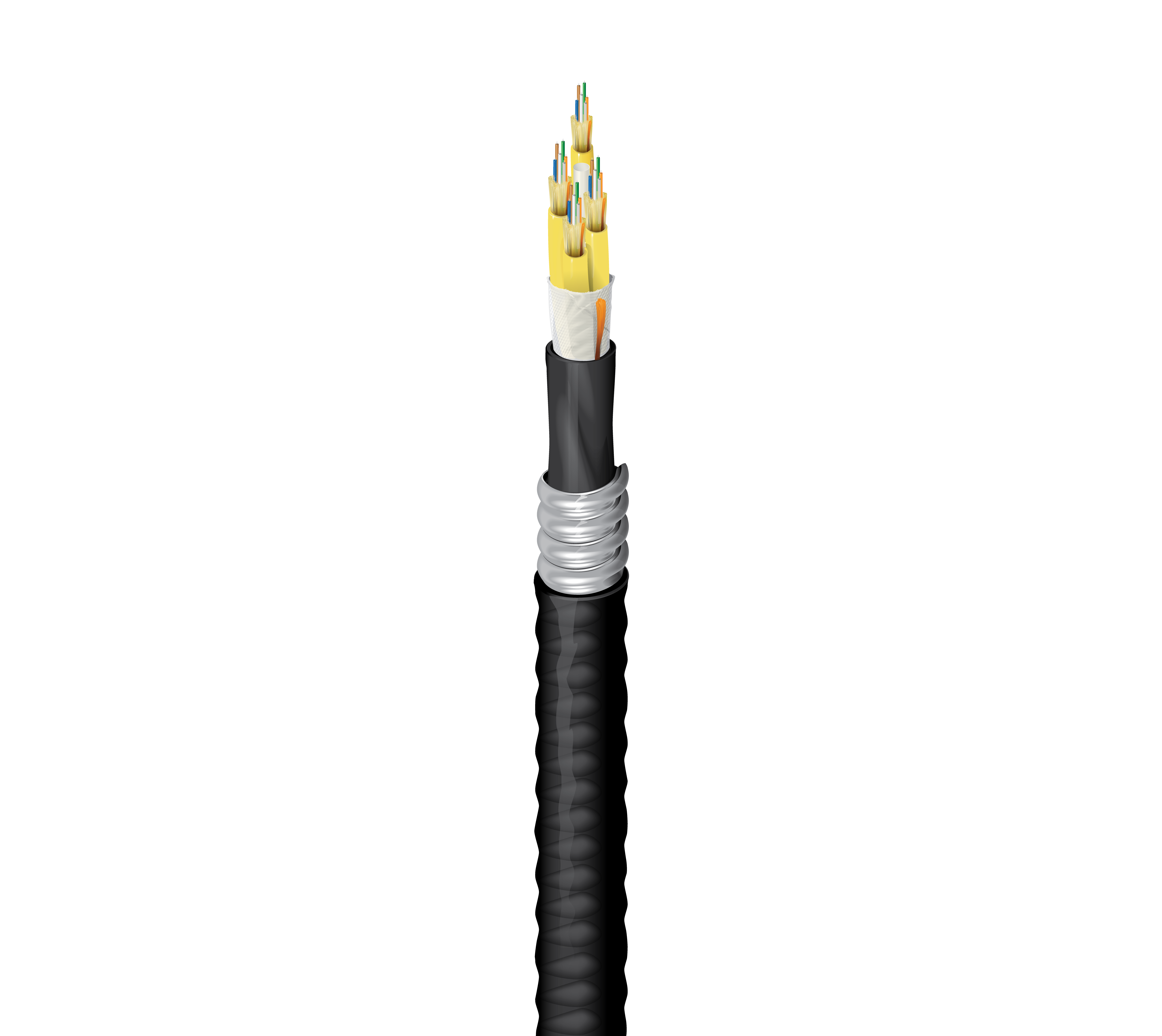 FDSD024FJ
