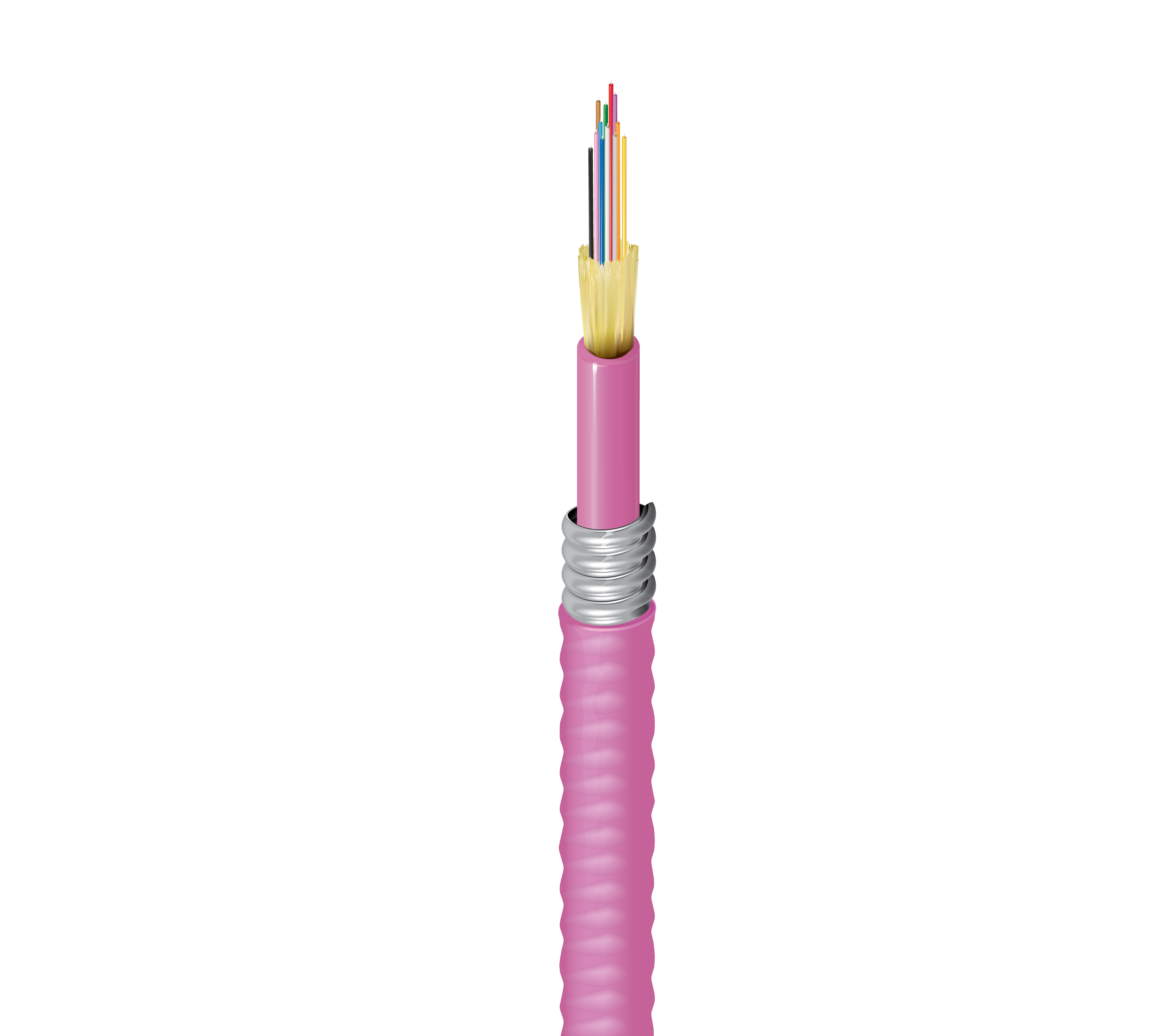 FD4D012A9E