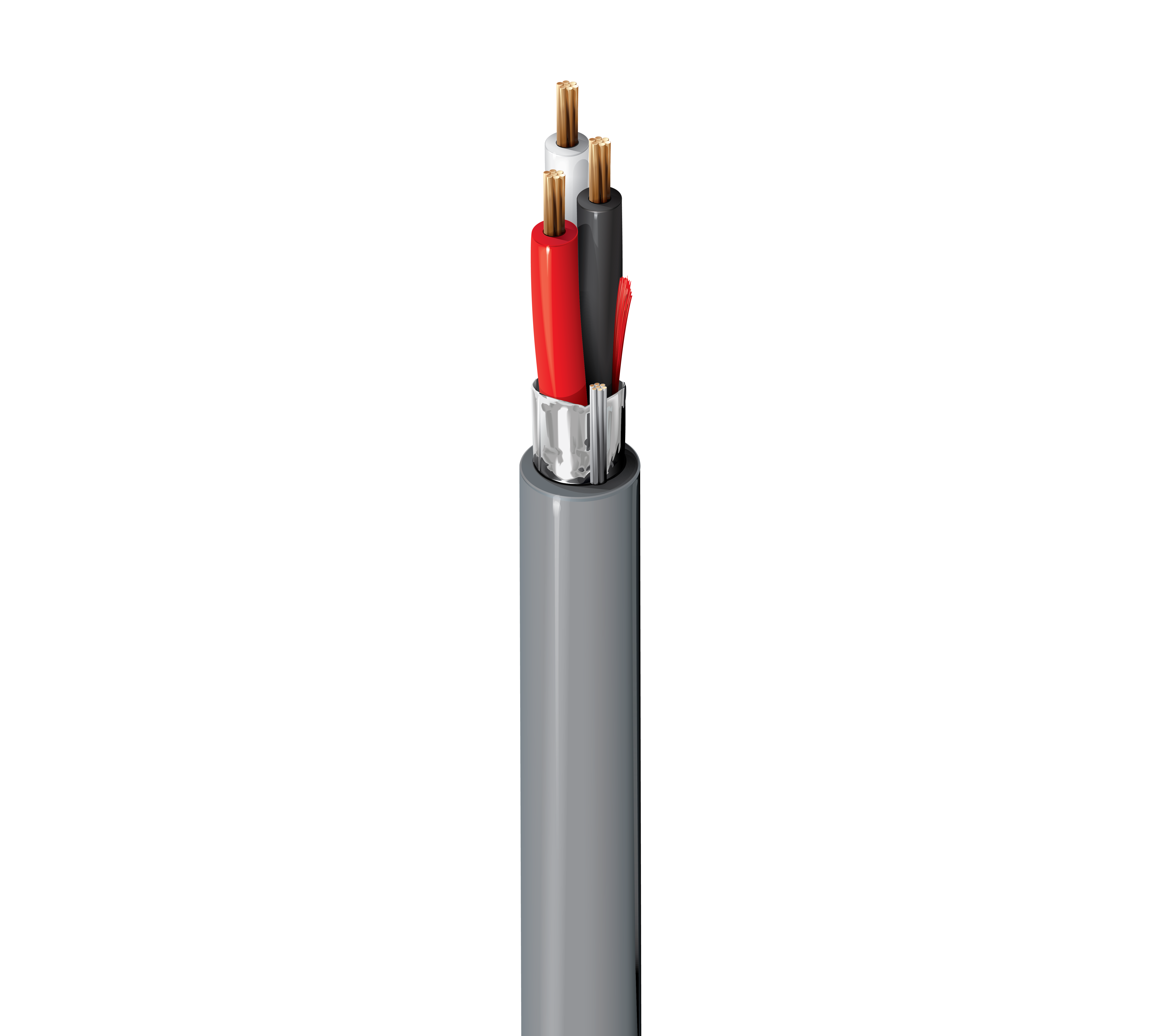 5501FE