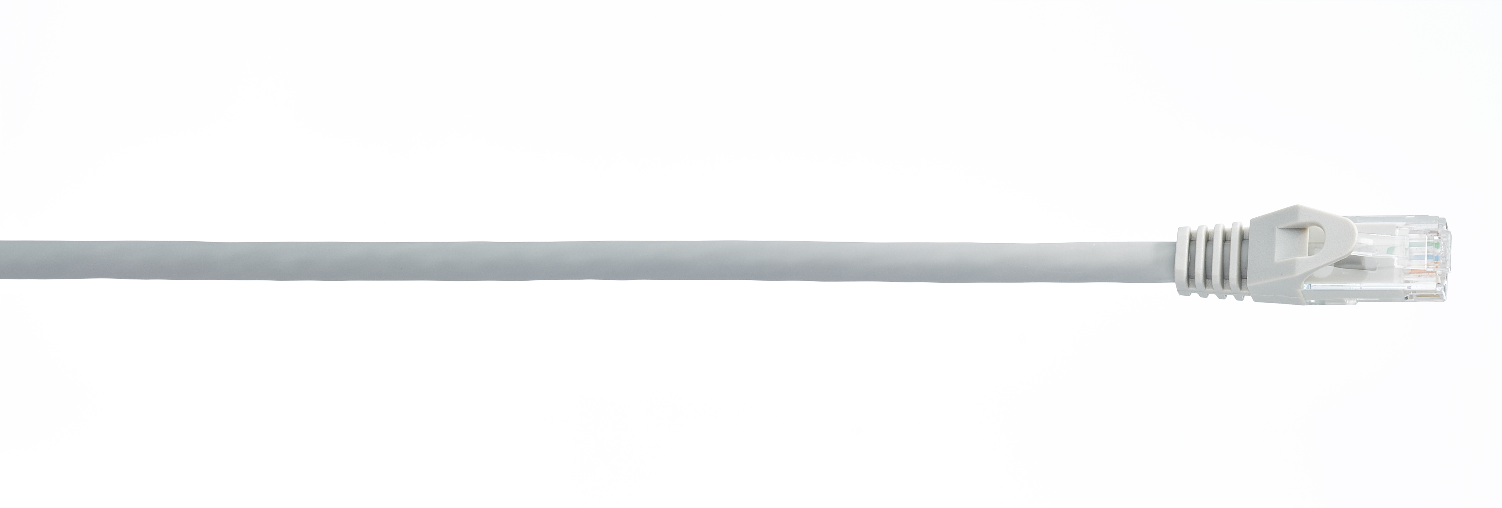 WireNet CAT6 跳线 UTP