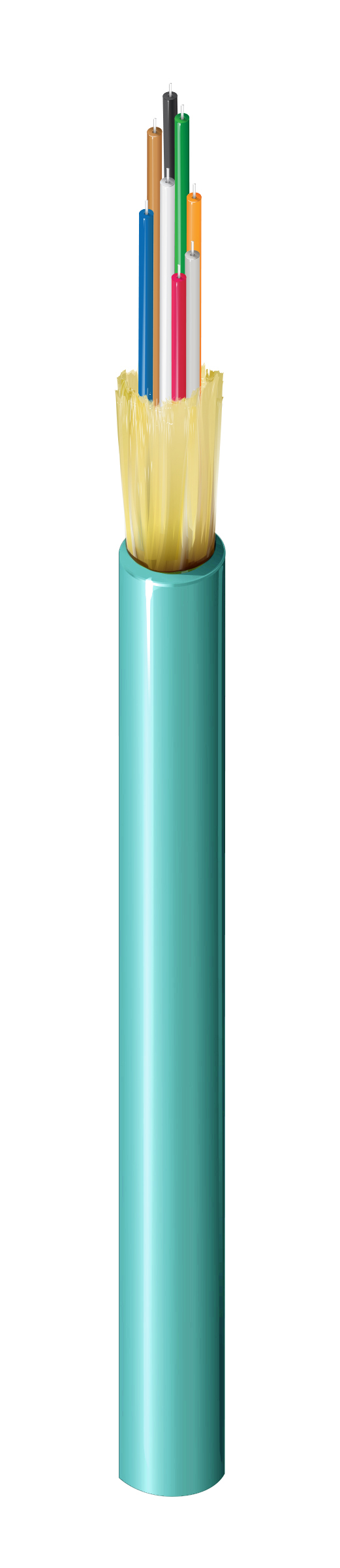 FI3D008R9