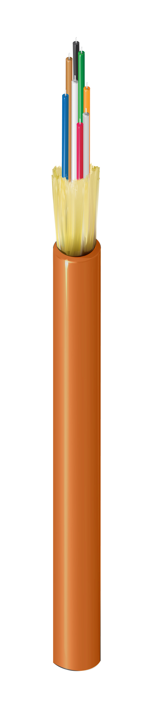 FI2D008R9