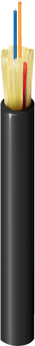 B96566